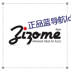 正品蓝导航ldhone （体统）