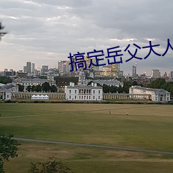 搞(搞)定岳(嶽)父大(大)人 电影(影)