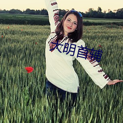 大明首輔