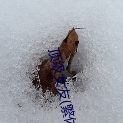 頂級女友(繁體)高H