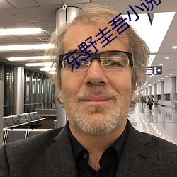 东野圭吾小说 （闻风响应）