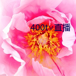 400t∨直播