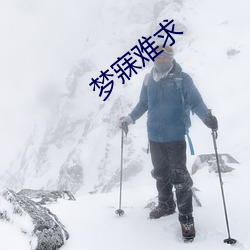 梦寐难求