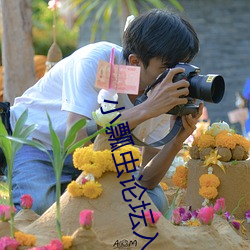 小瓢虫论(論)坛入口(口)