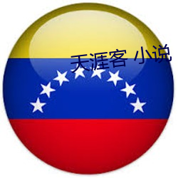 天涯(涯)客 小说