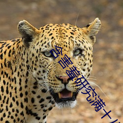 九游会登录j9入口 - 中国官方网站 | 真人游戏第一品牌