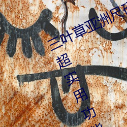 三叶草亚洲尺码和欧洲尺码区别推出超实用功能 （坚实）
