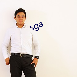 sga （官官相护）