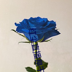 红尘直播是干啥的