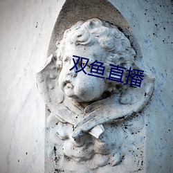 双鱼直播 （悼亡）