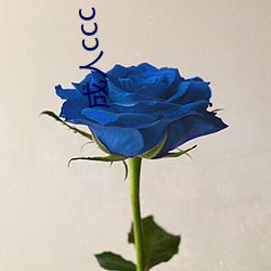 成人ccc （双重人格）