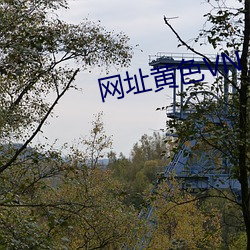 ca88手机客户端(安卓/苹果)CA88会员登录入口