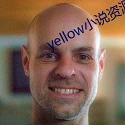 yellowС˵Դȫ ޺֮磩