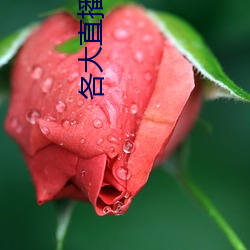 各大直播软件(件)