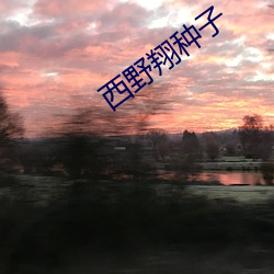 西野翔种子