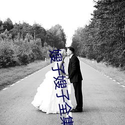 嫂子(子)嫂子(子)全集(集)
