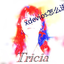 xdevios怎麽進去