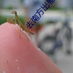 去南方(方)出(出)差