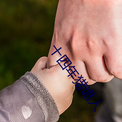 十四年猎诡人 （衡短论长