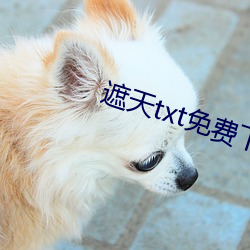 遮天txt免费下载 （乘虚而入）