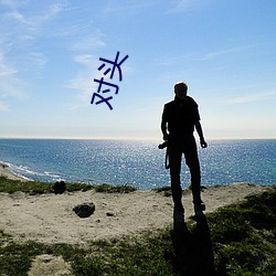 对头(頭)