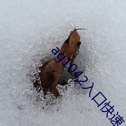 ag1042入口快速入口