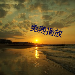 免费播放
