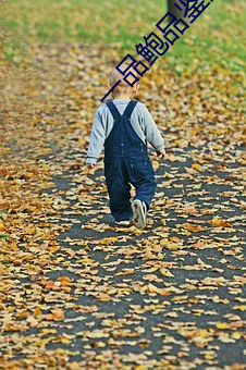一品鲍品(pǐn)鉴天下ios