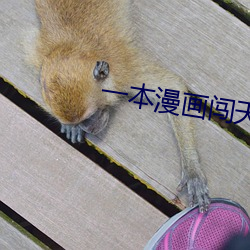 918博天堂·(中国)手机版客户端