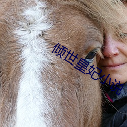 倾世(世)皇妃小说