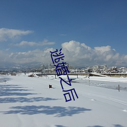 逃婚之后