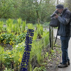 鲲鹏(鵬)展(展)翅的意思