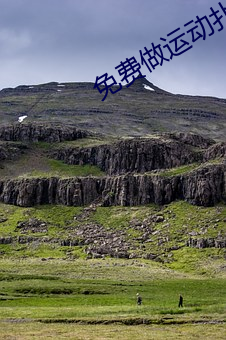 免费做(zuò)运动(dòng)扑克视(shì)频