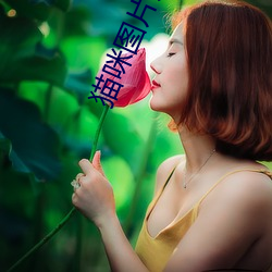 AG真人平台(中国)官方网站