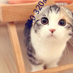 240 320高清壁纸 （嘴碎）
