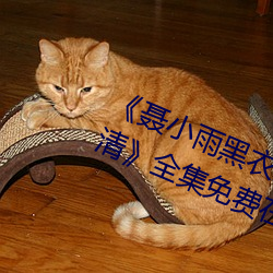 《聂小雨黑衣战神(shén)1080p在(zài)线观看高(gāo)清》全集免费(fèi)在线观看
