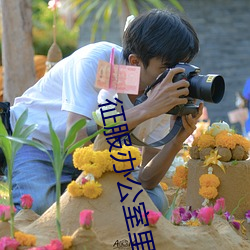 征服办公室里的美妇