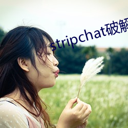 stripchat破解版