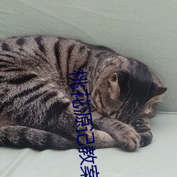 尊龙凯时人生就是搏(中国区)官方网站