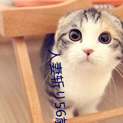 人妻斩り56歳无码