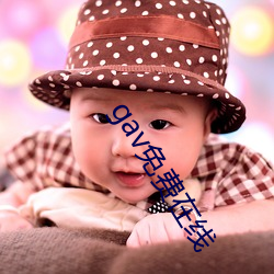 gav免费在线