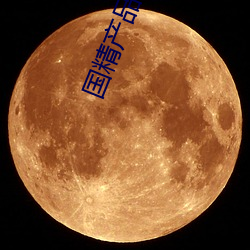 国精产品二区视在线观看