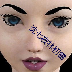 沈七夜林初雪