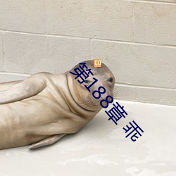 第188章 乖 （联姻）