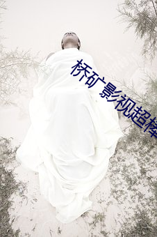 桥(qiáo)矿影(yǐng)视超棒第1集