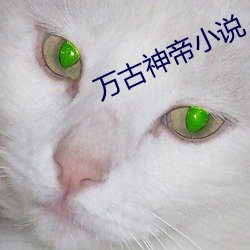 万古神帝小说(說)