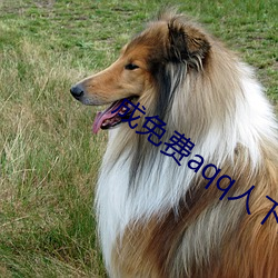 成(成)免费aqq人下载(載)