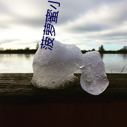 菠萝蜜小视频 （邪不干正）