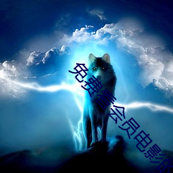 免费看会员电影的软件 ��土豆）