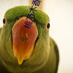 米乐M6·(中国)官方网站
